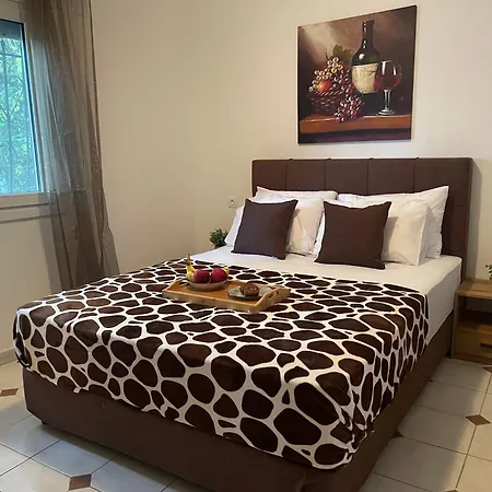 Ioannis Grand House *